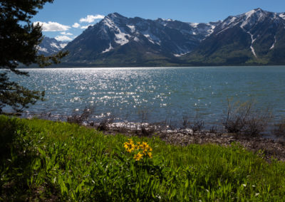 Lake near Grand Tetons